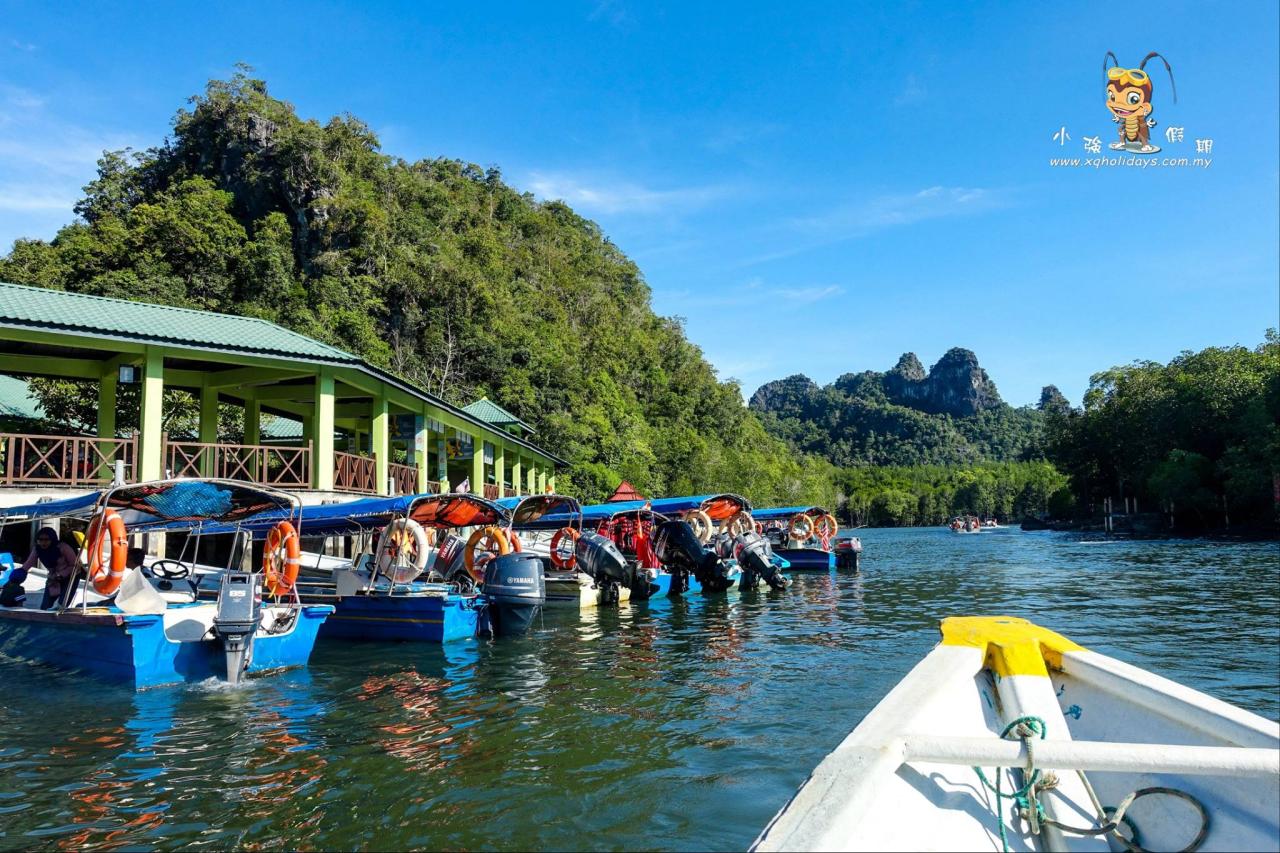 Jelajahi Keindahan Mangrove Langkawi: Tur yang Tak Terlupakan